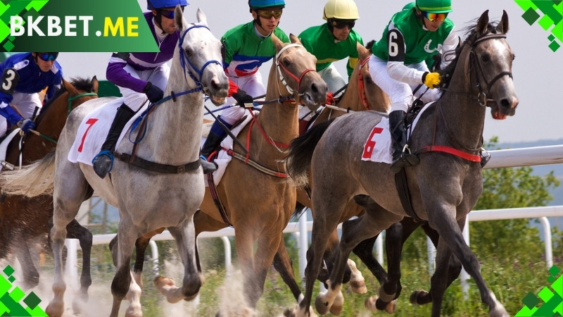 Introdução às apostas em corridas de cavalos na BKBET